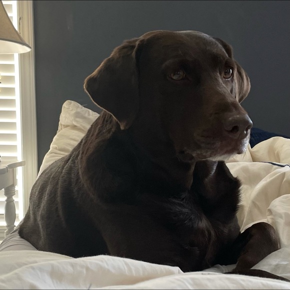 Meet your Posher, Torrance - Picture 1 of 1